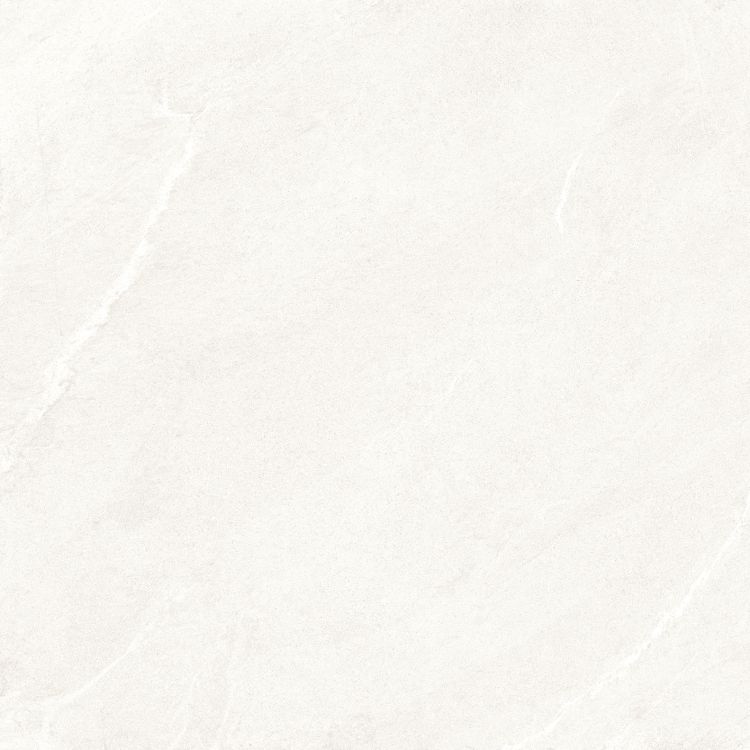 Dhara White Matte 48 x 48
